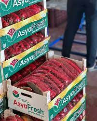 Dünyaya sebze ve meyve ihraç ediyor. Türk gıda devi iflasın eşiğinde - Resim: 7